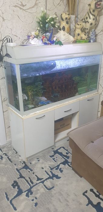 Аквариум с рыбками