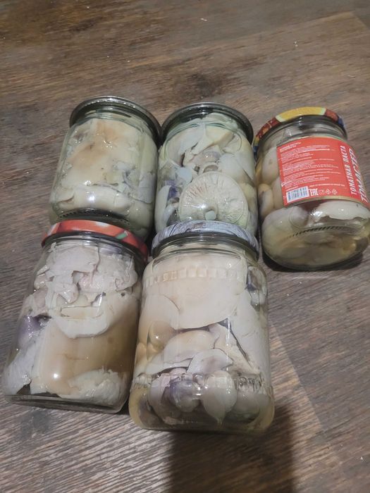 Грибы,маринованные,синеножка