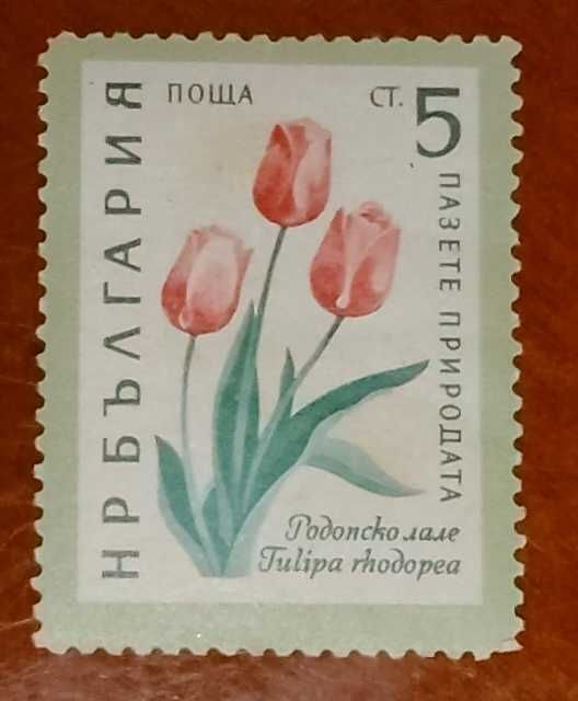 Български пощенски марки с цветя. Серия "Пазете природата". 1960 г.