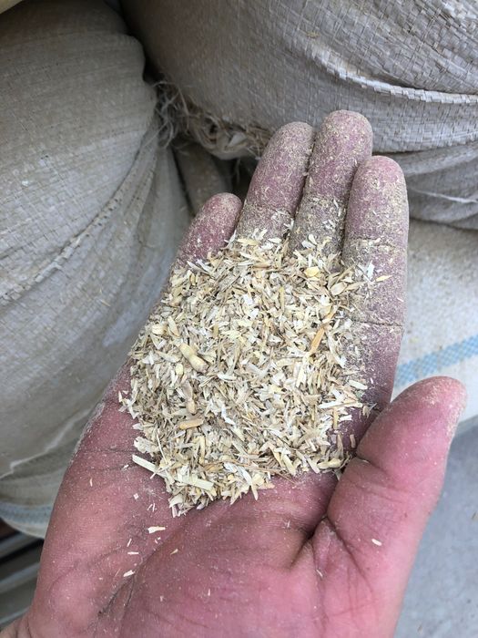 Ем. бугдойдан тушган пучок ва. хархил уруглар