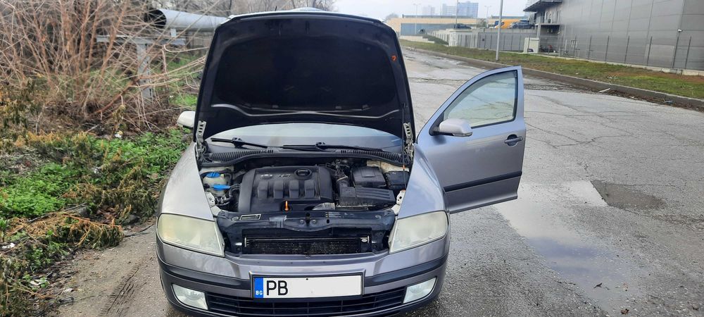 Skoda Octavia 1,9 TDI Автоматик DSG