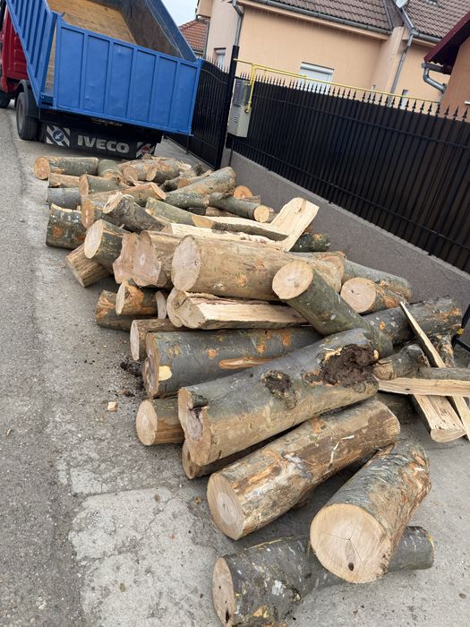 Vindem lemne de foc esențe tarii(fag,gorun,carpen,cer)