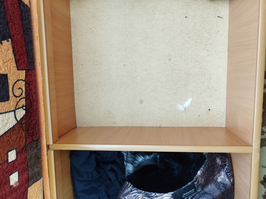 Диван в норм состоянии