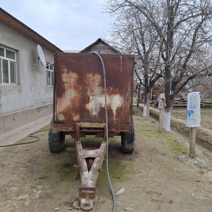 Тесік жоқ бүтін цестрна