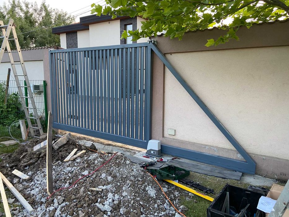 Garduri ,Balustrade si Ansambluri porti