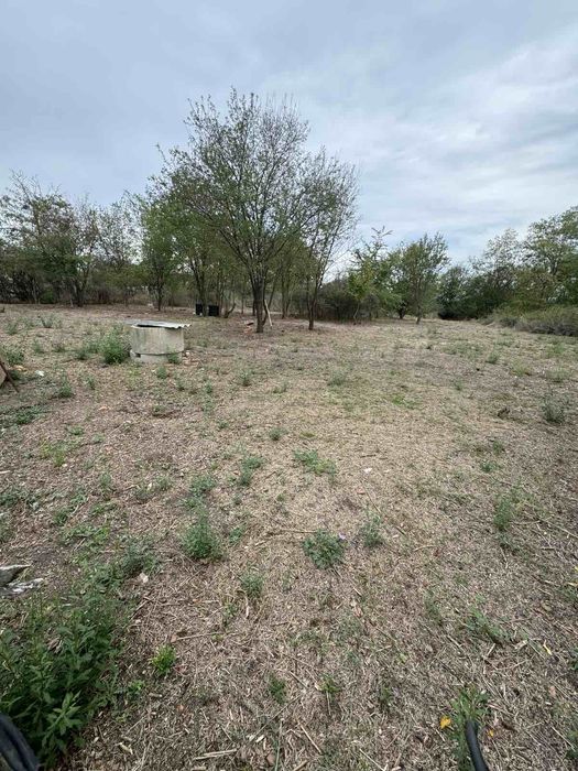 Дворно място с кладенец с. ТРАКИЯ