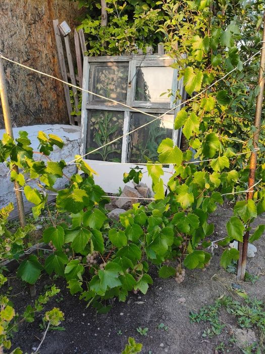 Продам дом (подъезд асфальт)