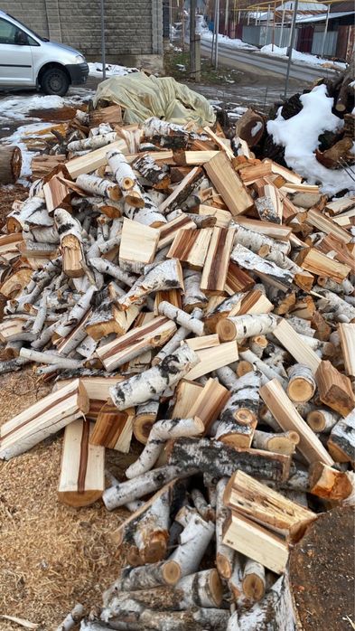 продам Березу дрова
