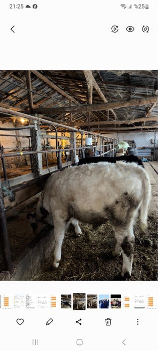 Продава се Парцел в с. Голямо църквище, Област Търговище - 454 кв.м за 152 €/кв.м - Снимка #2