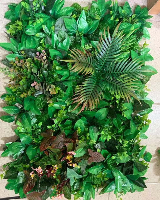 Зелень, фитостены, цветы