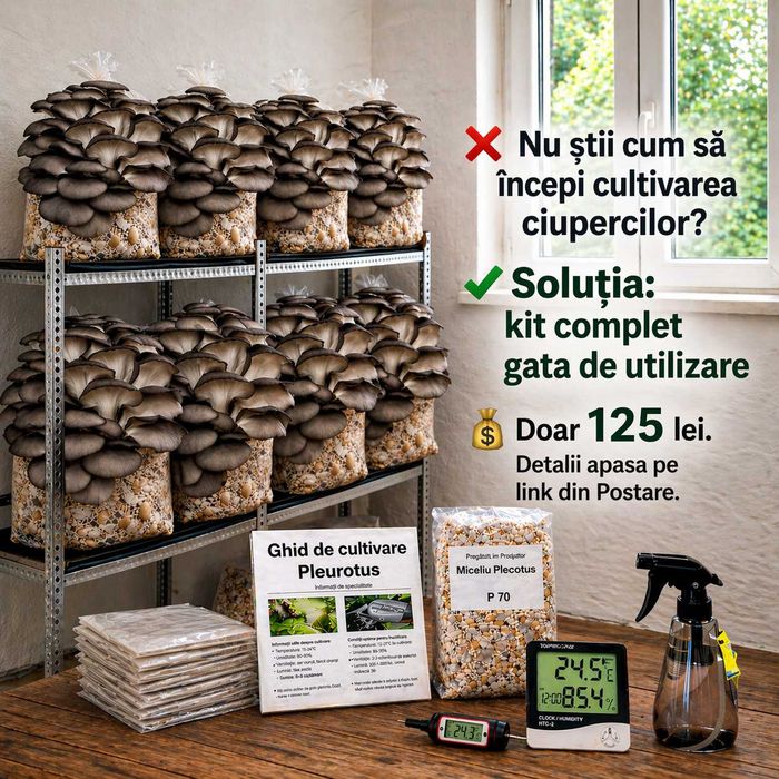 Kit complet cultivare ciuperci Pleurotus