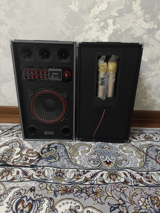 Karaoke kalonka 2 ta mikrafoni bor