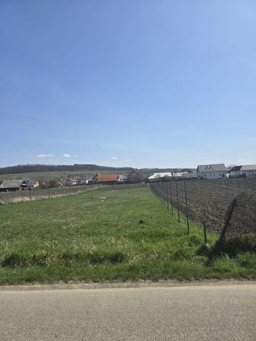 teren intravilan  tibeni