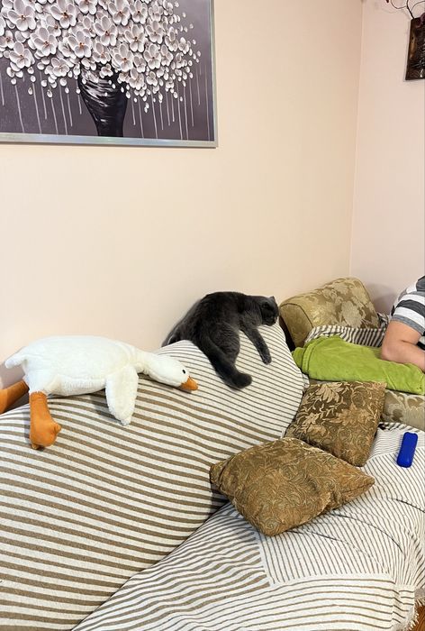 Диван с креслом