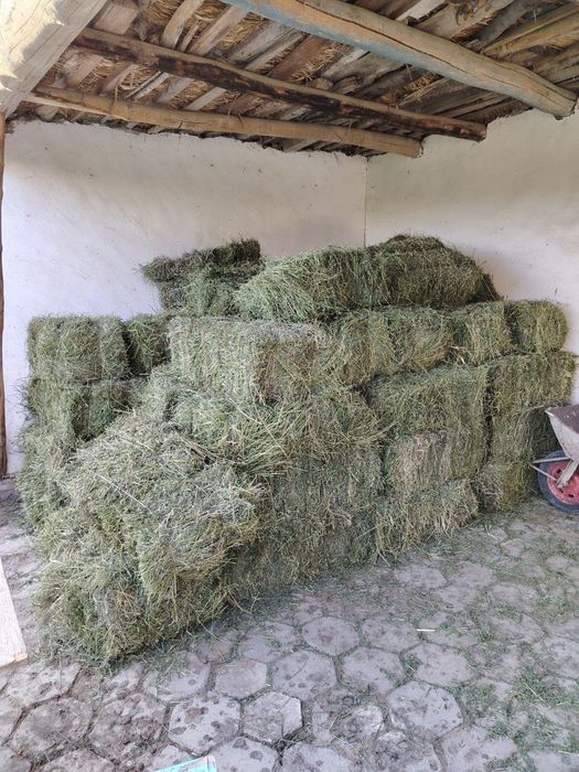 Beda preslar sotiladi. 2-o'rim.