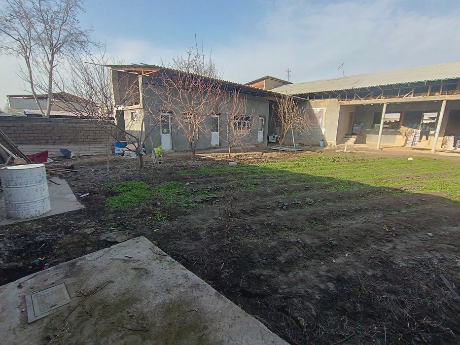 Ховли сотилади Зангиота зиёратгохга яқин жойда жойлашган мактаб бохча