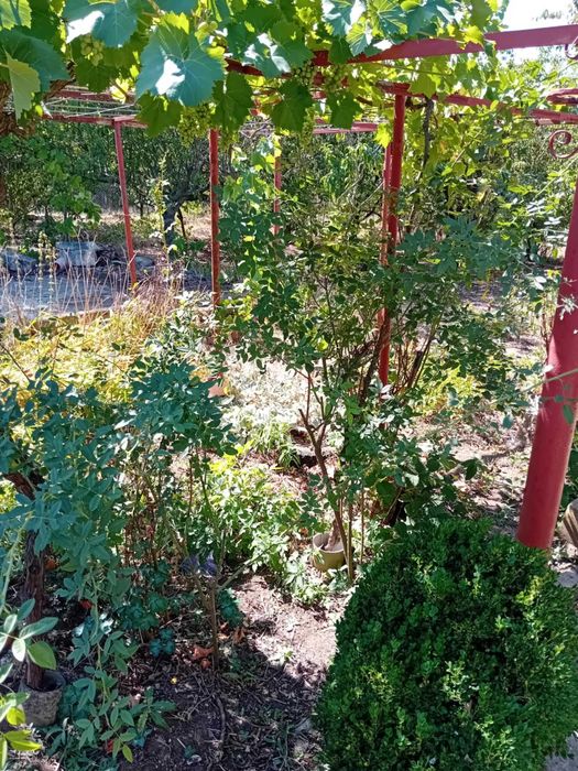 Продава се Къща в Вълчи дол - 73 кв.м за 161 €/кв.м - Снимка #5