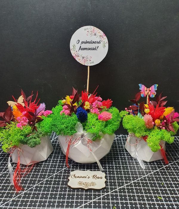 Minivaze mărțișor cu licheni