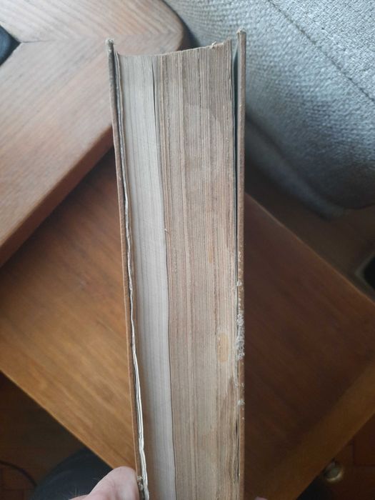 Елементарно ръководство по гражданско право, 1919 година