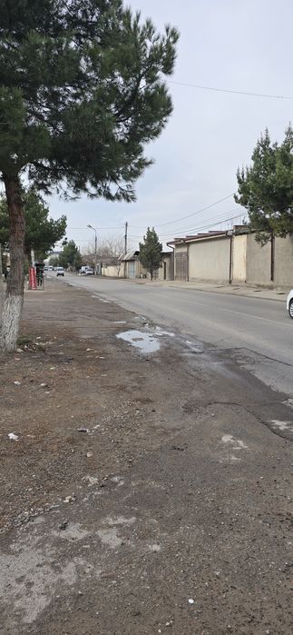 Селекция Сельхоз около дороги