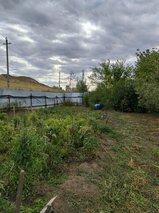 Продам дачю Мичюринец
