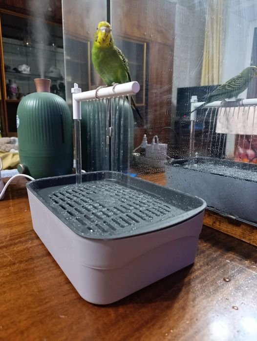 Ванночка душ для птиц
