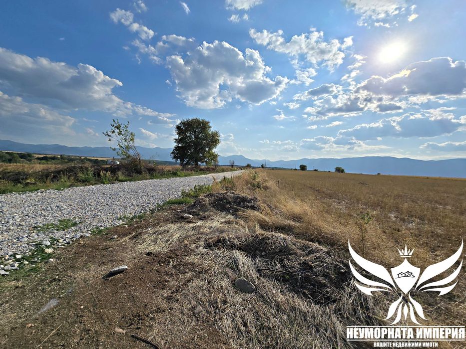 Продавам земя 24.5 декара засята със сливови дръвчета в с.Нови Извор