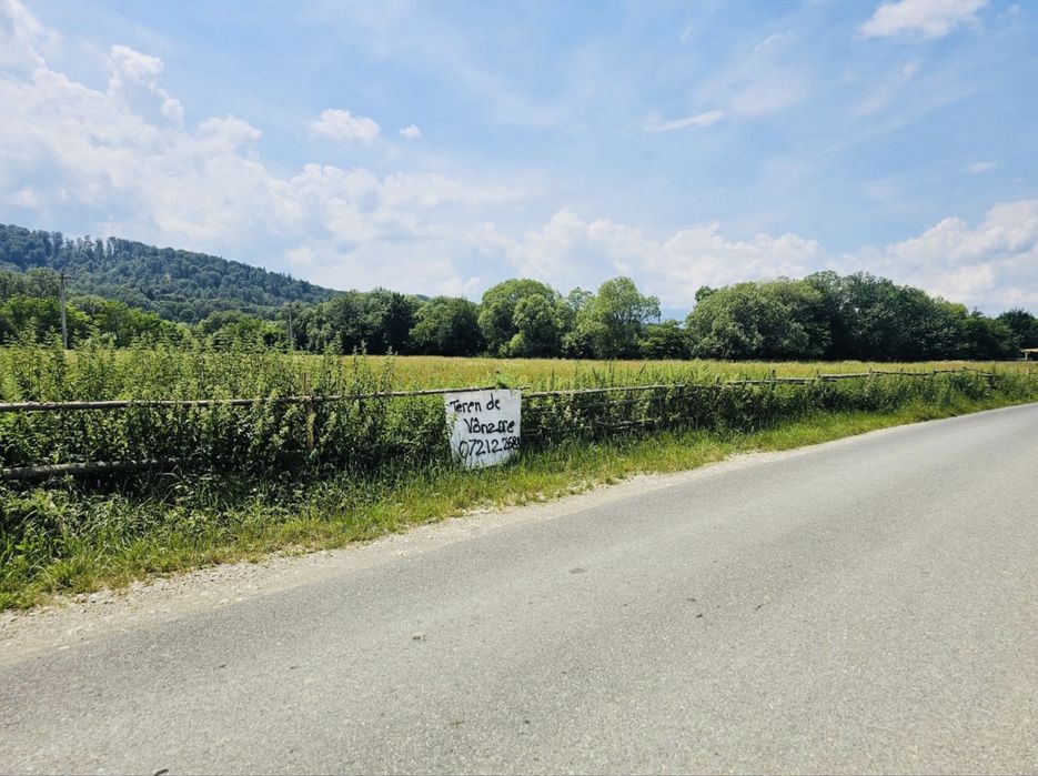 Teren munte ! Cheile  Rasnoavei