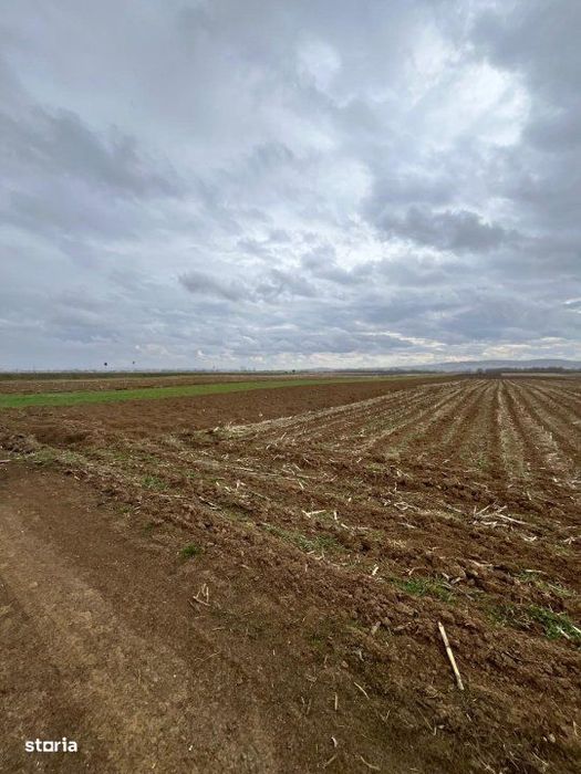 Teren extravilan 2500 mp,cu acces la Centura ,Radauti