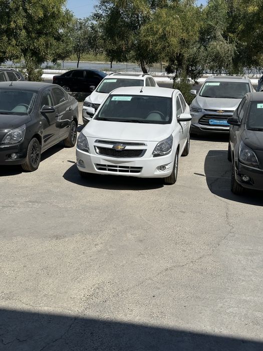 Cobalt midnight 2025