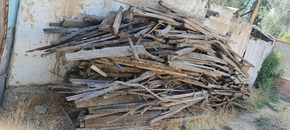 Отин хаммаси 500 мин сом