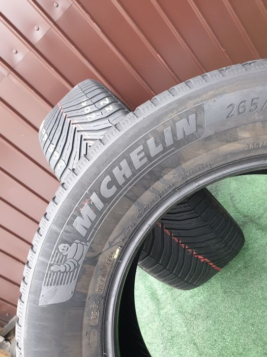 265.60.18 Michelin