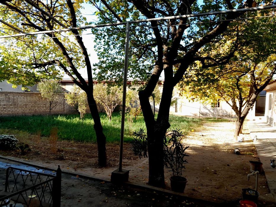 Уй Назарбек туркистонда 8 сотихдан 2 Уй