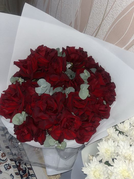 Продам цветы по 5тыс