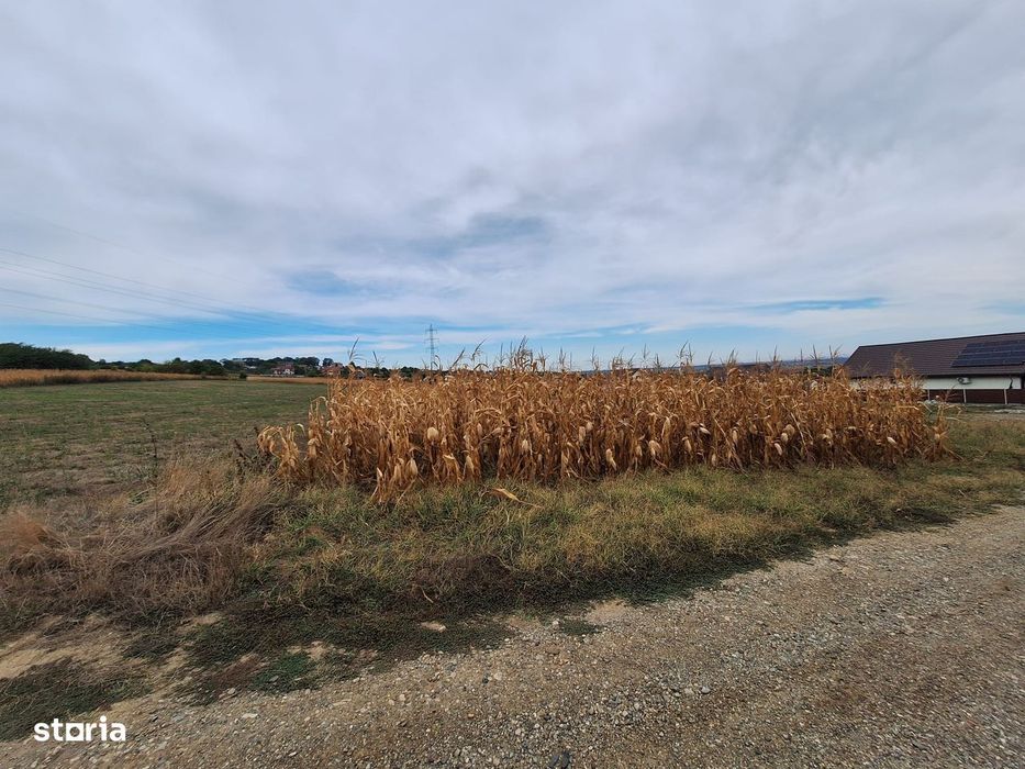 Teren 2700mp Margineni,intre case
