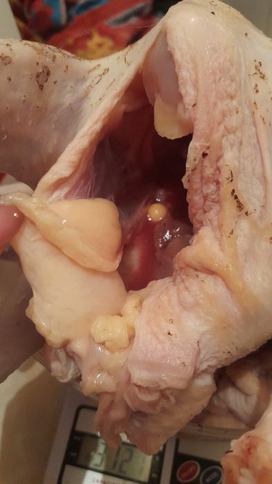 Куры бульонные домашние вкусные