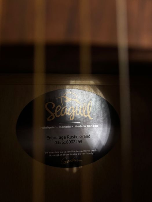 Гитара Godin Seagull