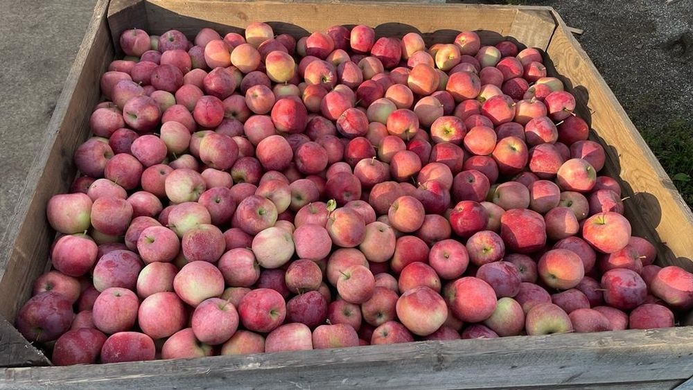 Vand mere Idared si Starkrimson