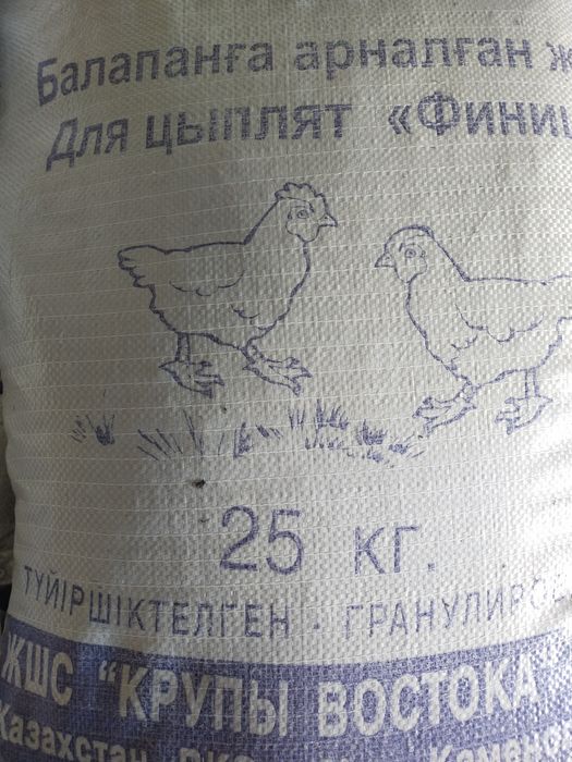 Корма крупы востока