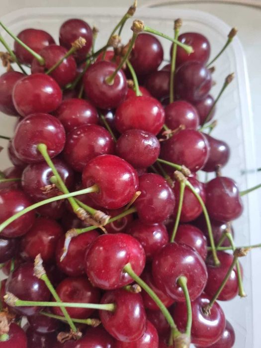 Продам ВИШНЮ. МАЛИНУ сочную, сладкую. Самосбор.