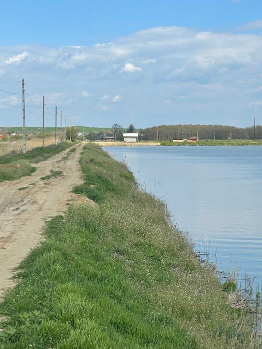 Vând baltă / Baltă de vânzare / Ferma Piscicolă  36 Ha
