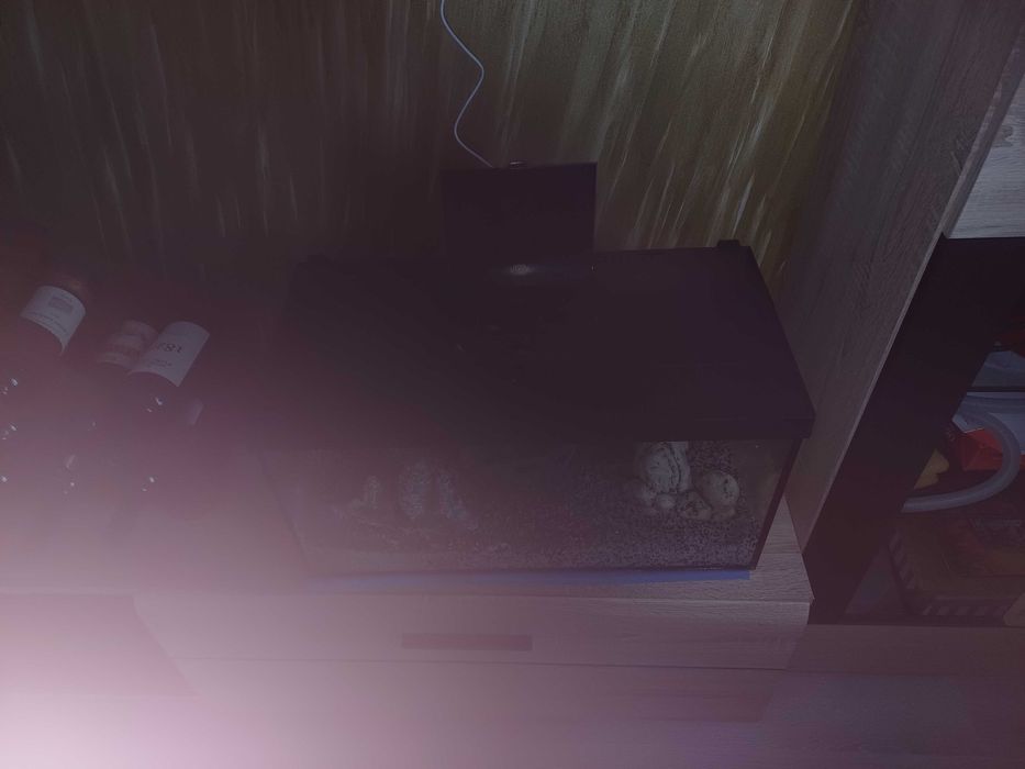 Acvariu de vanzare 50 l