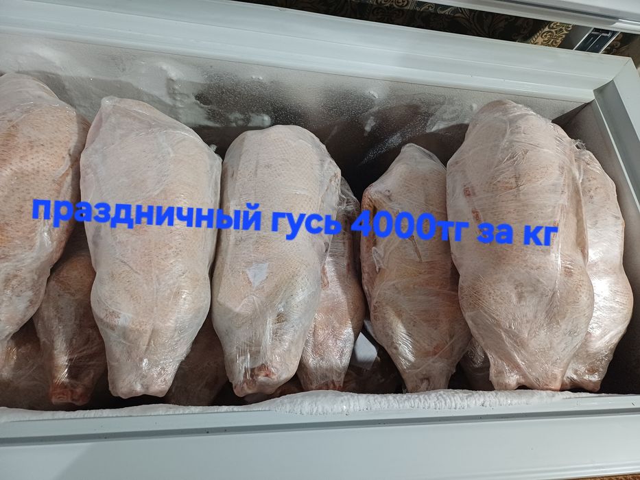 Новогодний гусь.