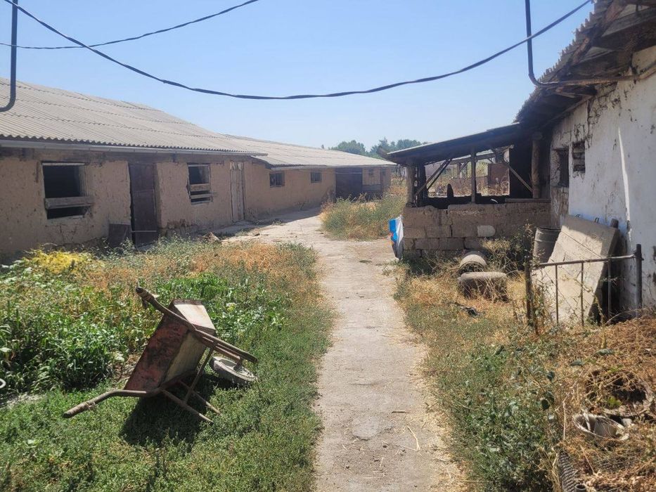 Продаётся земельный участок Новый Ташкент,  Новый парк Узбекистан