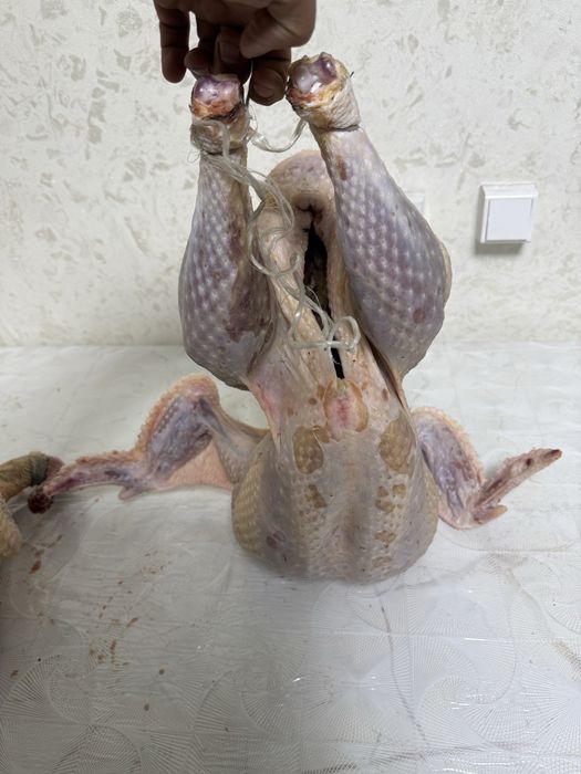 Таза қолдың индюктері