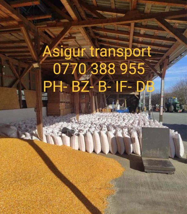 Porumb de vanzare 1,20 kg.