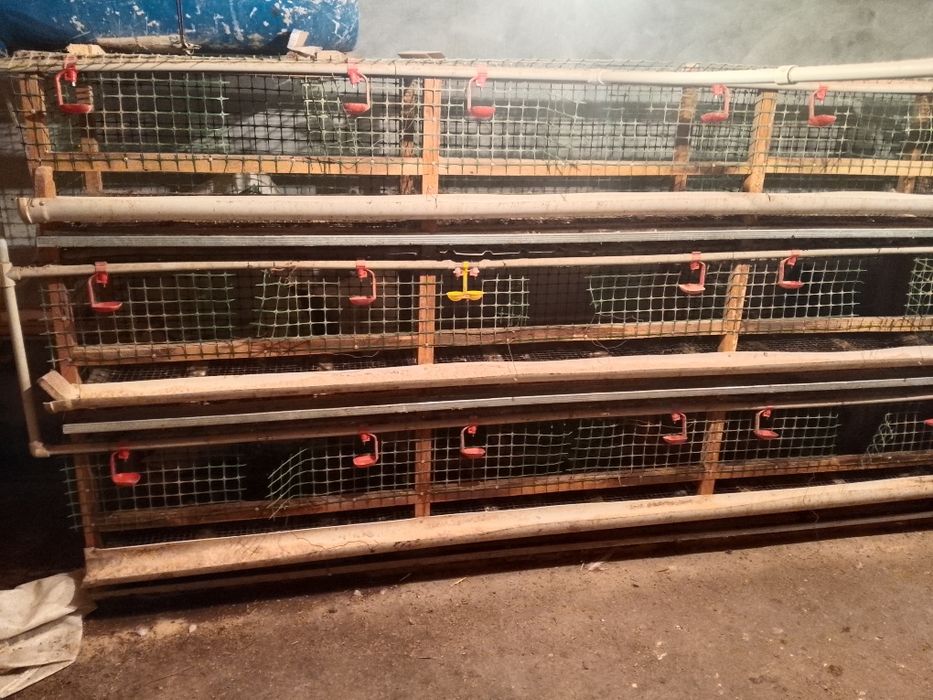 Клетка для куры по 40 000тг