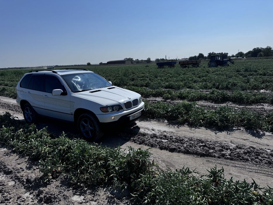 Bmw х5 в идеальном сост.$$$все работает