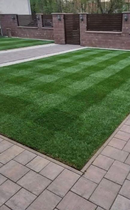 Gazon rulou sau rustic