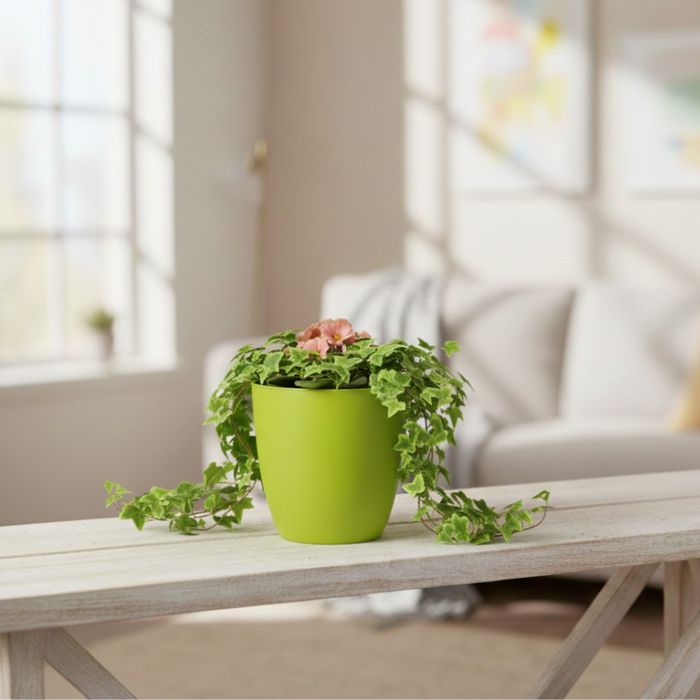 Саксия с поливна система Ø18×H16 см - за здрава коренова система